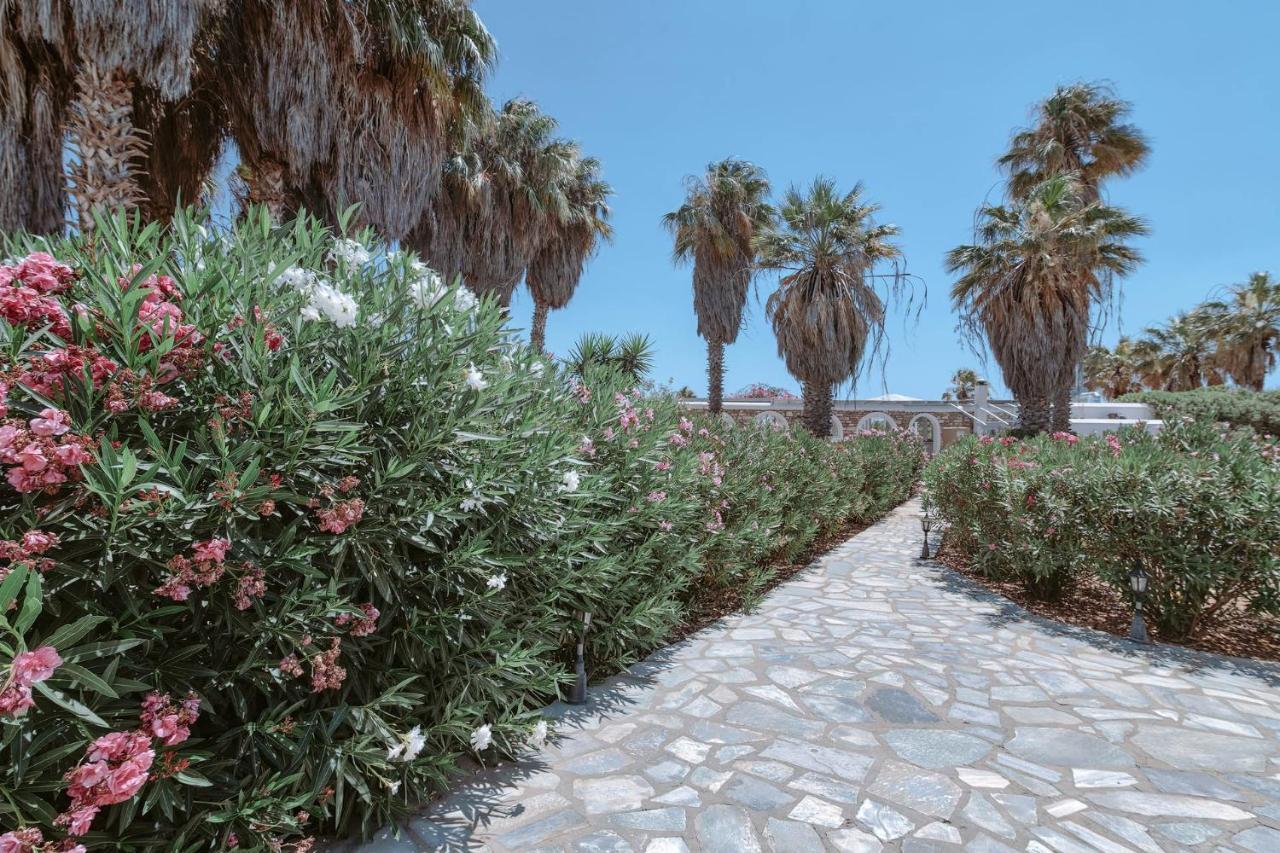 Palm Heaven Boutique Apartments Antiparos by Eksteriør billede